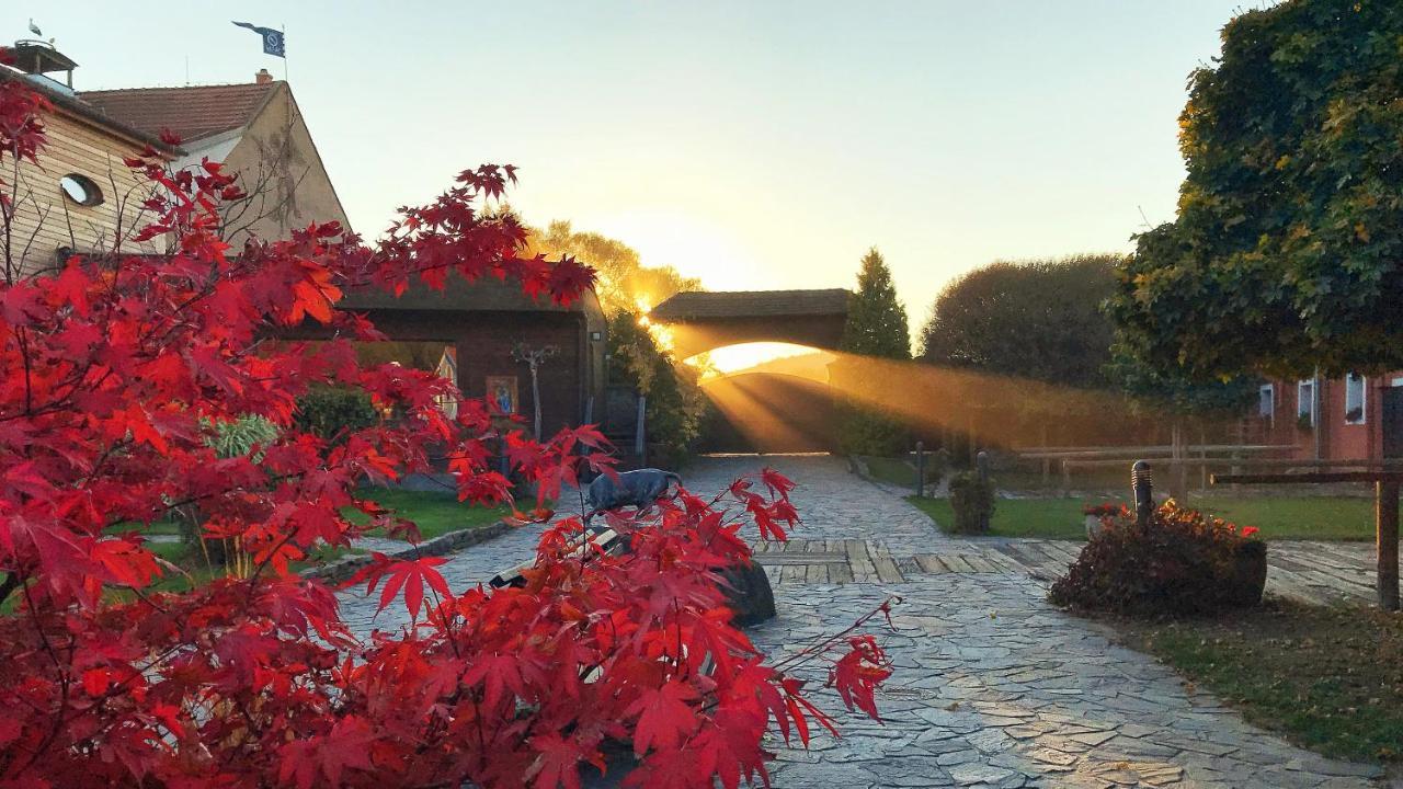 Hotel Farma Michael na tvrzi Nedvězí Netvořice Exteriér fotografie